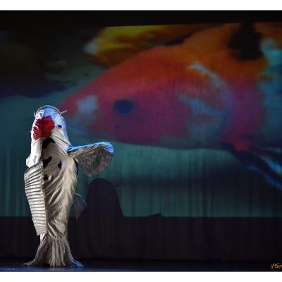 Car Diem Junko Murakami